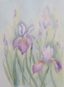 Iris 12" x9" (Saunders Waterford)